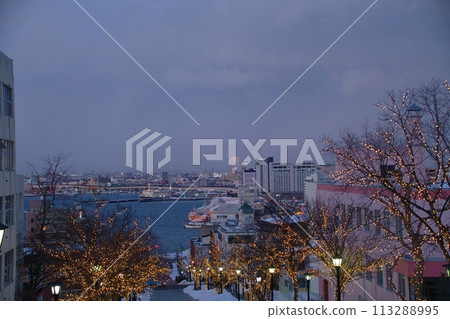 Hakodate illumination Hakodate illumination 113288995