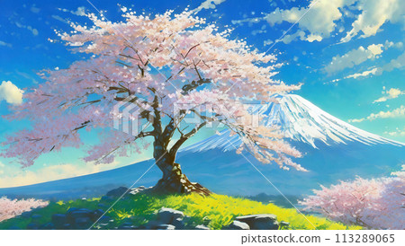 Cherry blossoms in full bloom and Mt. Fuji 113289065