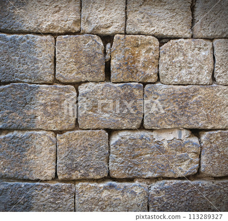 Old grunge brick wall background. Background and texture 113289327