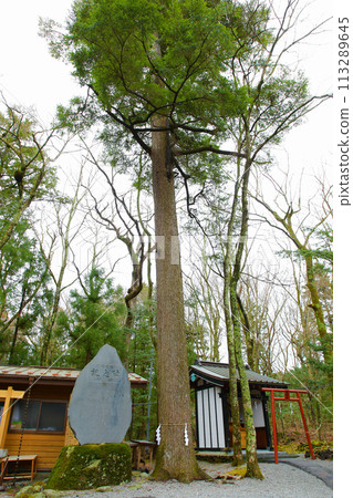Shinya Sansu Shrine Shinya Sansu Shrine 113289645