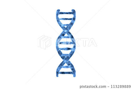 DNA with blue transparent structure, 3d rendering. DNA with blue transparent structure, 3d rendering. 113289889