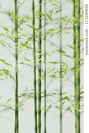 Green natural bamboo plant background, 3d rendering. Green natural bamboo plant background, 3d rendering. 113289899