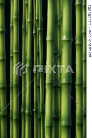 Green natural bamboo plant background, 3d rendering. Green natural bamboo plant background, 3d rendering. 113289902