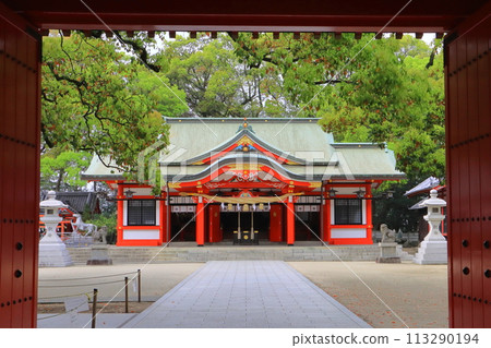 Kasuga Shrine (Oita-shi) 113290194