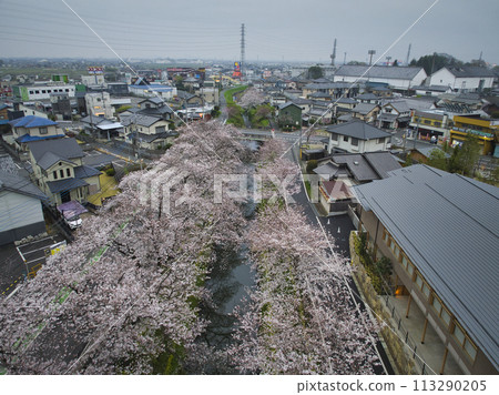埼玉縣川越市小江戶川越櫻花觀賞地、新河和冰河神社（無人機空拍） 113290205