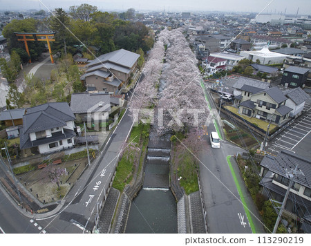 埼玉縣川越市小江戶川越櫻花觀賞地、新河和冰河神社（無人機空拍） 113290219