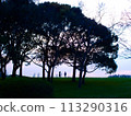 Two at dusk 113290316