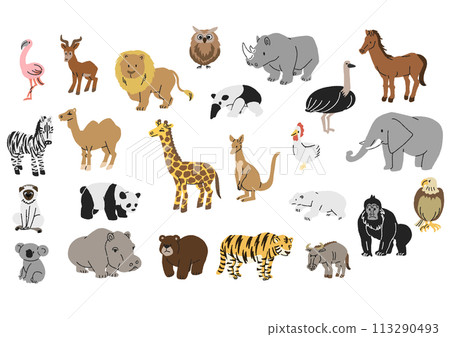 Various animal illustration set 113290493