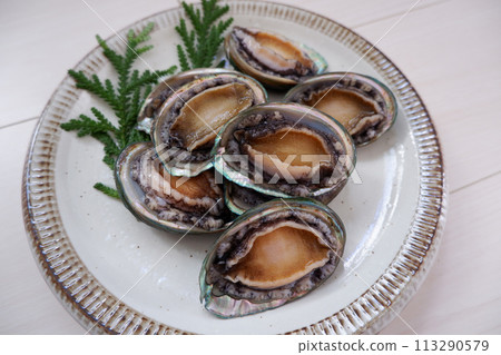 Fresh abalone, live abalone on a plate Fresh abalone, live abalone on a plate 113290579