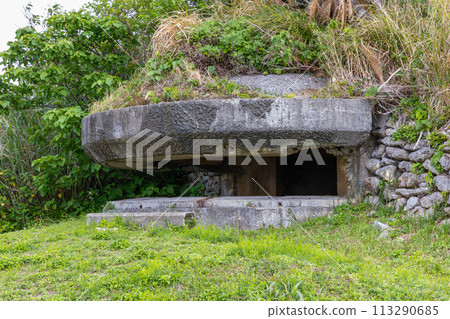 Amami Oshima: Remains of Nishikomi Covered Observatory 113290685