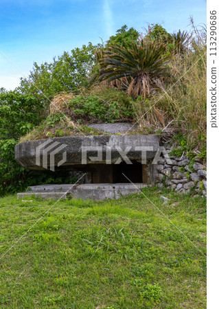 Amami Oshima: Remains of Nishikomi Covered Observatory 113290686