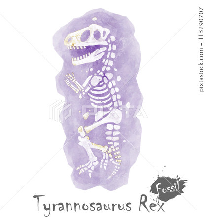 Fossil of Tyrannosaurus rex dinosaur in rock . Watercolor paint design . Vector . 113290707