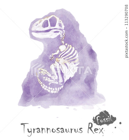 Fossil of Tyrannosaurus rex dinosaur in rock . Watercolor paint design . Vector . Fossil of Tyrannosaurus rex dinosaur in rock . Watercolor paint design . Vector . 113290708