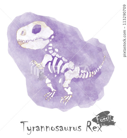 Fossil of Tyrannosaurus rex dinosaur in rock . Watercolor paint design . Vector . Fossil of Tyrannosaurus rex dinosaur in rock . Watercolor paint design . Vector . 113290709