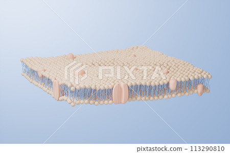 Cell membrane structure background, 3d rendering. 113290810