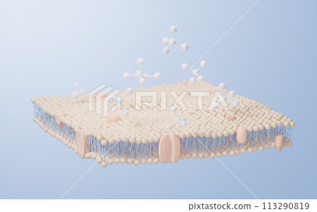 Cell membrane structure background, 3d rendering. Cell membrane structure background, 3d rendering. 113290819