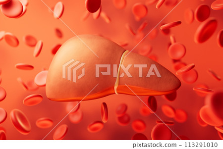 Liver organ with health care concept, 3d rendering. Liver organ with health care concept, 3d rendering. 113291010