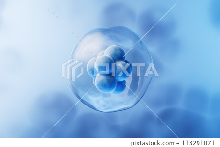 Transparent cell with biotechnology and cosmetic concept, 3d rendering. Transparent cell with biotechnology and cosmetic concept, 3d rendering. 113291071