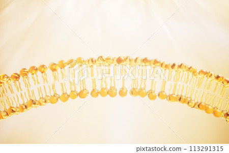 Transparent membrane structure, 3d rendering. Transparent membrane structure, 3d rendering. 113291315