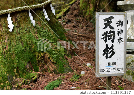 Takasumi Shrine Takasumi Shrine 113291357