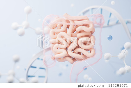 Intestinal tract with digestive health concept, 3d rendering. Intestinal tract with digestive health concept, 3d rendering. 113291971