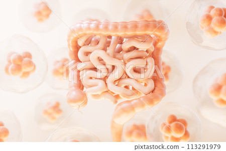 Intestinal tract with digestive health concept, 3d rendering. Intestinal tract with digestive health concept, 3d rendering. 113291979