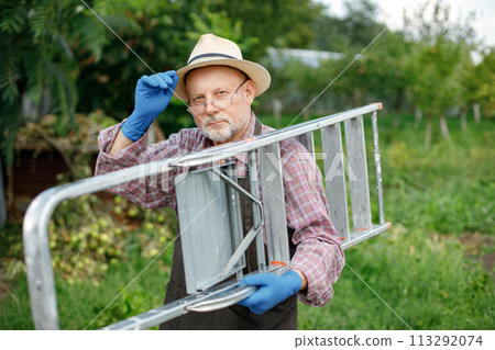 Farmer wearing blue gloves while standing in orchard in late summer time. Senior farmer holding a ladder. Man wearing red plaid t-shirt and eyeglasses. 113292074