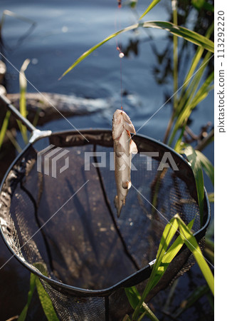 Cropped photo of a fish and a fishing basket. Fish on a fishing rod. Leisure activity and fishing concept. 113292220