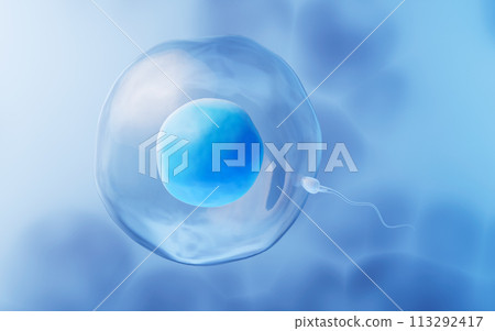 The union of sperm and an egg cell, 3d rendering. The union of sperm and an egg cell, 3d rendering. 113292417