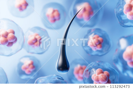 3D hair and transparent cell, 3d rendering. 113292473
