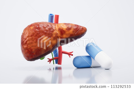 Liver organ with fatty liver state, 3d rendering. 113292533