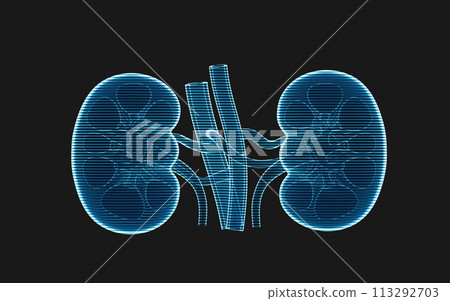 Kidney with holographic image effect, 3d rendering. Kidney with holographic image effect, 3d rendering. 113292703