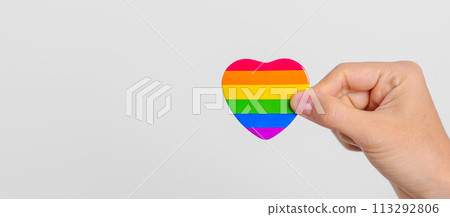 LGBT pride month concept or LGBTQ+ or LGBTQIA+ with rainbow heart shape for Lesbian, Gay, Bisexual, Transgender, Queer, Intersex, Asexual, Agender, Non Binary, Two Spirit, Pansexual and Demisexual 113292806