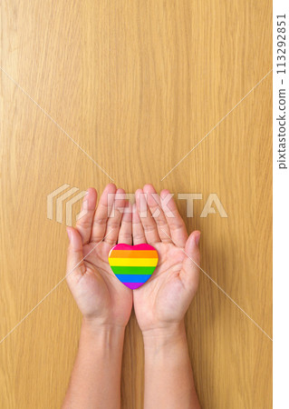 LGBT pride month concept or LGBTQ+ or LGBTQIA+ with rainbow heart shape for Lesbian, Gay, Bisexual, Transgender, Queer, Intersex, Asexual, Agender, Non Binary, Two Spirit, Pansexual and Demisexual LGBT pride month concept or LGBTQ+ or LGBTQIA+ with rainbow heart shape for Lesbian, Gay, Bisexual, Transgender, Queer, Intersex, Asexual, Agender, Non Binary, Two Spirit, Pansexual and Demisexual 113292851