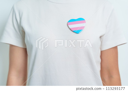 Transgender Day and LGBT pride month, LGBTQ+ or LGBTQIA+ concept. hand holding blue, pink and white heart shape for Lesbian, Gay, Bisexual, Transgender, Queer and Pansexual community Transgender Day and LGBT pride month, LGBTQ+ or LGBTQIA+ concept. hand holding blue, pink and white heart shape for Lesbian, Gay, Bisexual, Transgender, Queer and Pansexual community 113293177