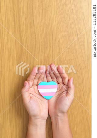 Transgender Day and LGBT pride month, LGBTQ+ or LGBTQIA+ concept. hand holding blue, pink and white heart shape for Lesbian, Gay, Bisexual, Transgender, Queer and Pansexual community Transgender Day and LGBT pride month, LGBTQ+ or LGBTQIA+ concept. hand holding blue, pink and white heart shape for Lesbian, Gay, Bisexual, Transgender, Queer and Pansexual community 113293191