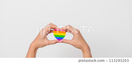 LGBT pride month concept or LGBTQ+ or LGBTQIA+ with rainbow heart shape for Lesbian, Gay, Bisexual, Transgender, Queer, Intersex, Asexual, Agender, Non Binary, Two Spirit, Pansexual and Demisexual 113293203