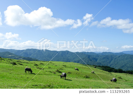 新北市貢寮桃源谷 新北市貢寮桃源谷 113293265