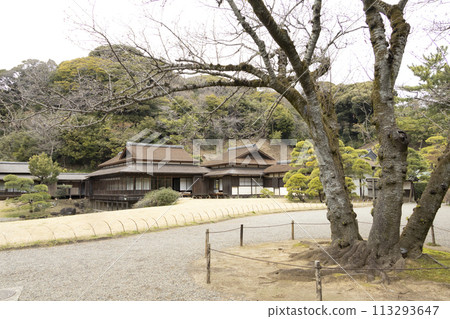 神奈川縣橫濱市風景名勝三溪園的春天 神奈川縣橫濱市風景名勝三溪園的春天 113293647