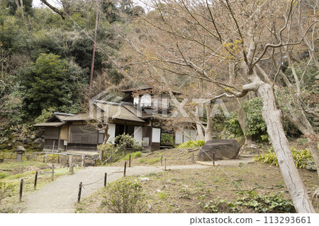 神奈川縣橫濱市風景名勝三溪園的春天 113293661