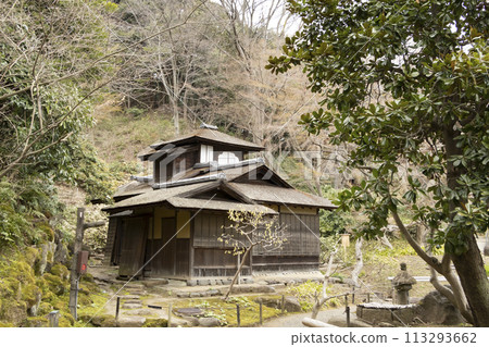 神奈川縣橫濱市風景名勝三溪園的春天 113293662