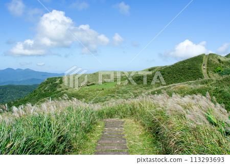 新北市貢寮桃源谷 新北市貢寮桃源谷 113293693