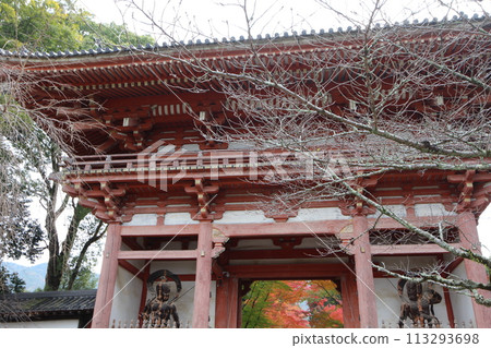 Kyoto Zen Temple Niohmon and colored leaves 113293698