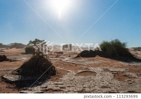 Barren landscape near Deadvlei and sossusvlei 113293699