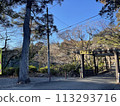 A landscape with torii 113293716