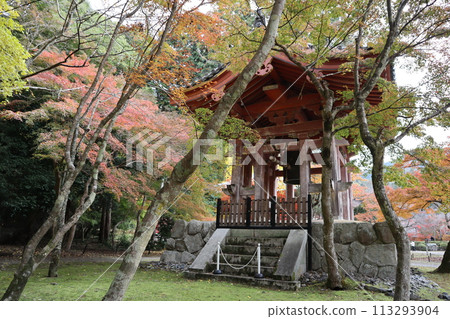 京都、醍醐寺院內的鐘聲和秋葉 京都、醍醐寺院內的鐘聲和秋葉 113293904