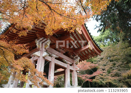 京都、醍醐寺院內的鐘聲和秋葉 113293905