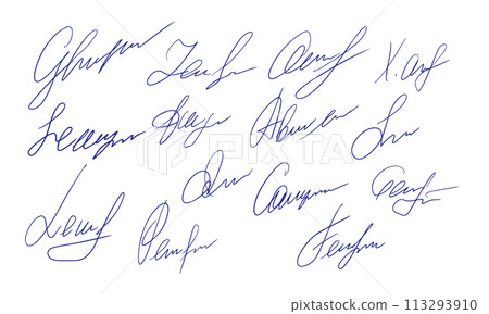 Set of fictitious handwritten autograph, adding a touch of realism to your creative projects. Set of fictitious handwritten autograph, adding a touch of realism to your creative projects. 113293910