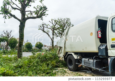 Trimming trees in parking lots Trimming trees in parking lots 113293977