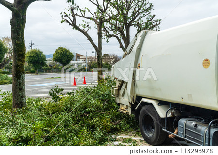 Trimming trees in parking lots Trimming trees in parking lots 113293978